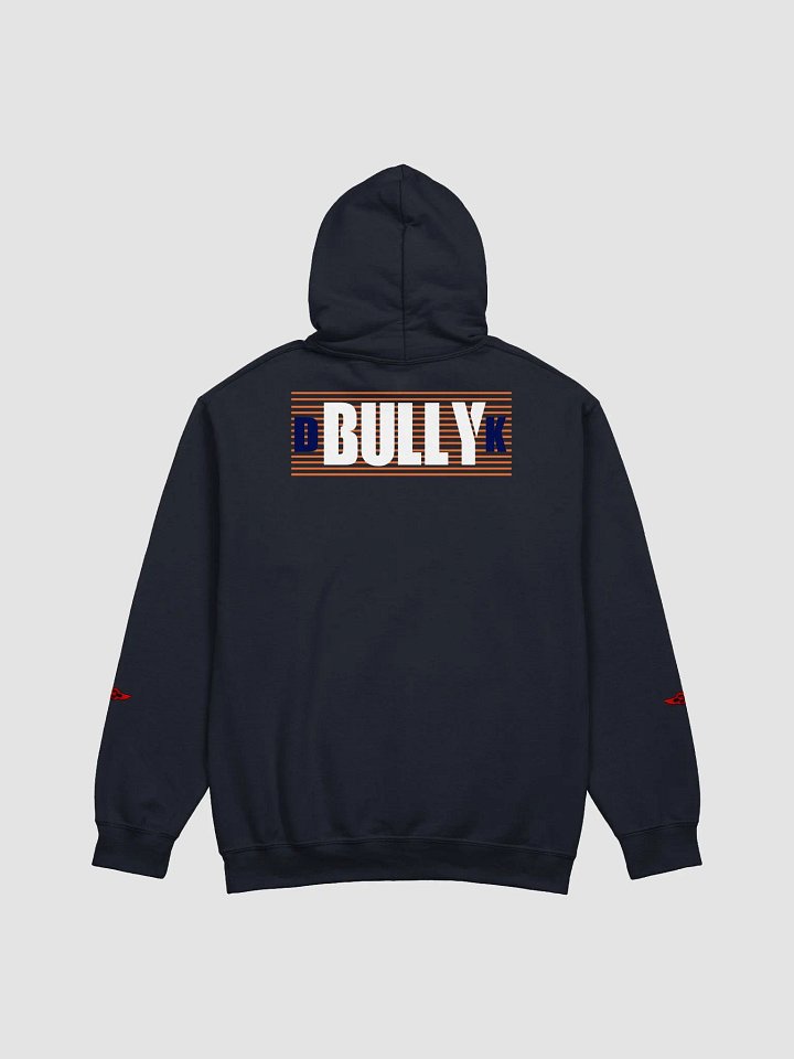 UNDERSTAND FULLY (HOODIE ) LD product image (2)