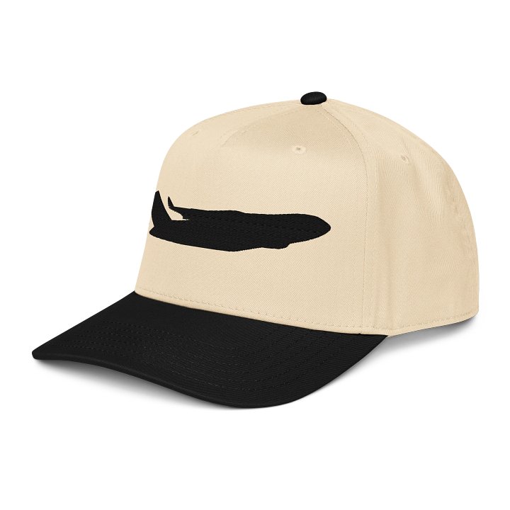 YPG Hat product image (2)