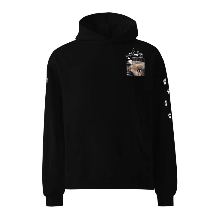 Mystic Feline Oversized Hoodie product image (1)