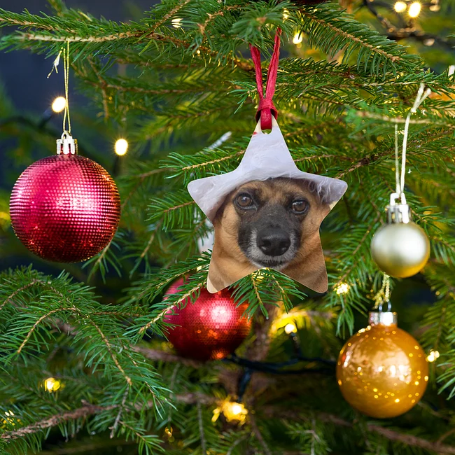 Angela's Christmas Collection