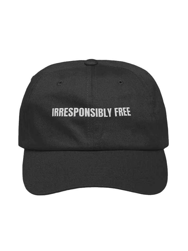 Irresponsibly Free Hat product image (33)
