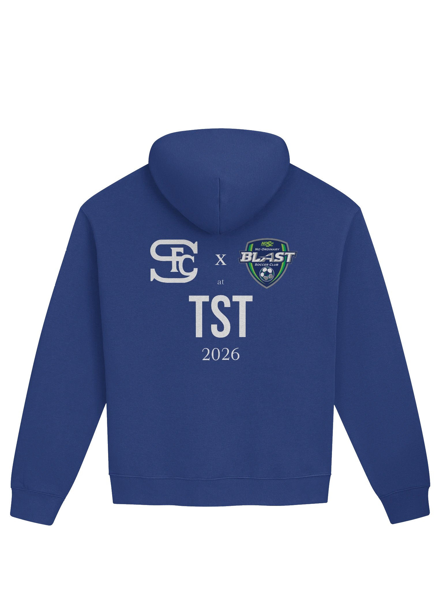 The ARC x TST Sweatshirt product image (5)
