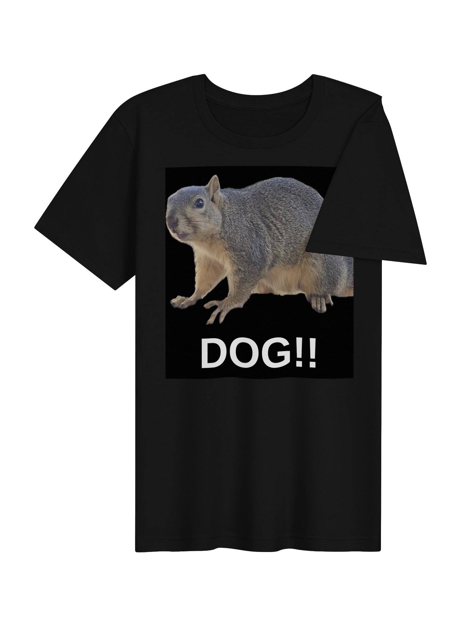 Squirrel Dog Tee In the Bone Zone product image (4)