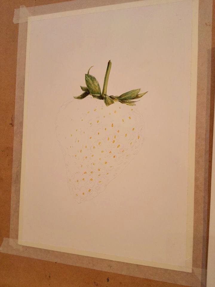 original artwork : strawberry product image (3)