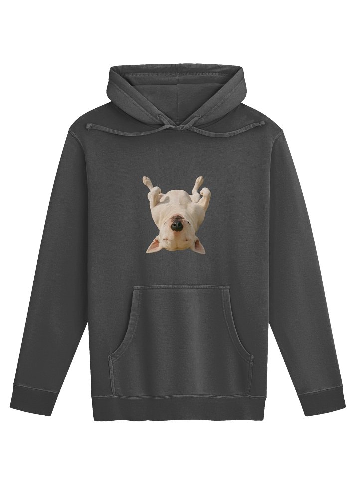 Bull Terrier TOP MODEL Absolute Ease! product image (1)