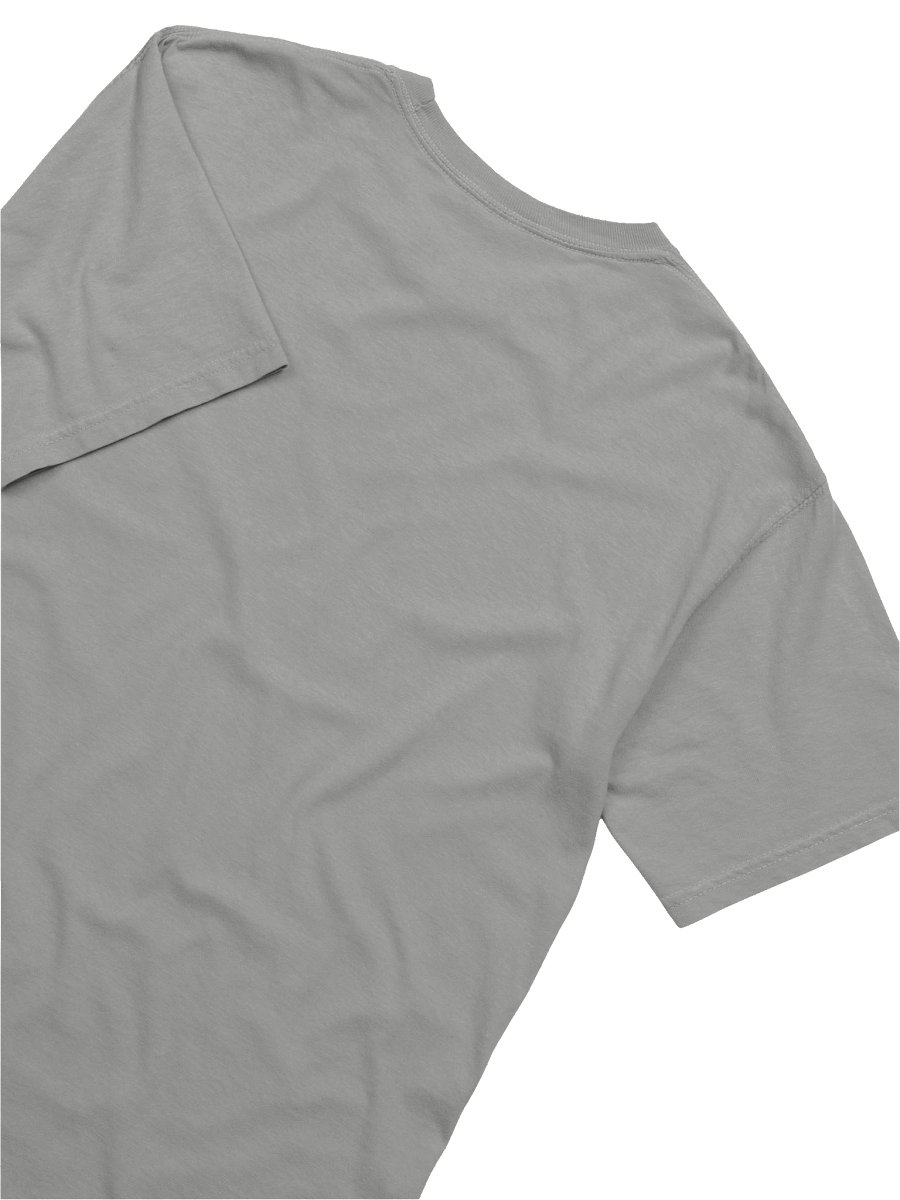 AGC RECRUIT TEE GRAY product image (10)