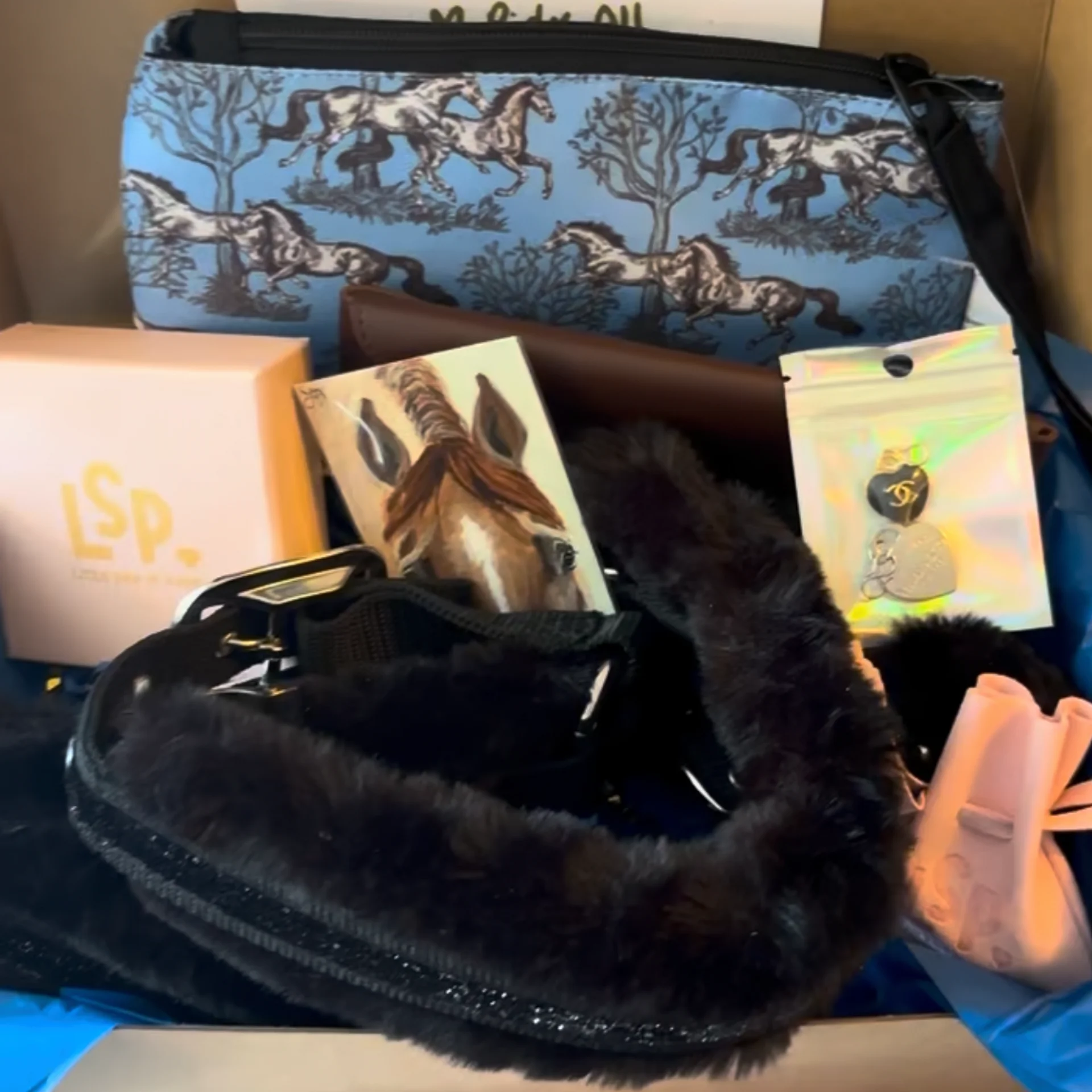 The Spoiled Equestrian Scoops 8 Mystery Pulls product image (5)