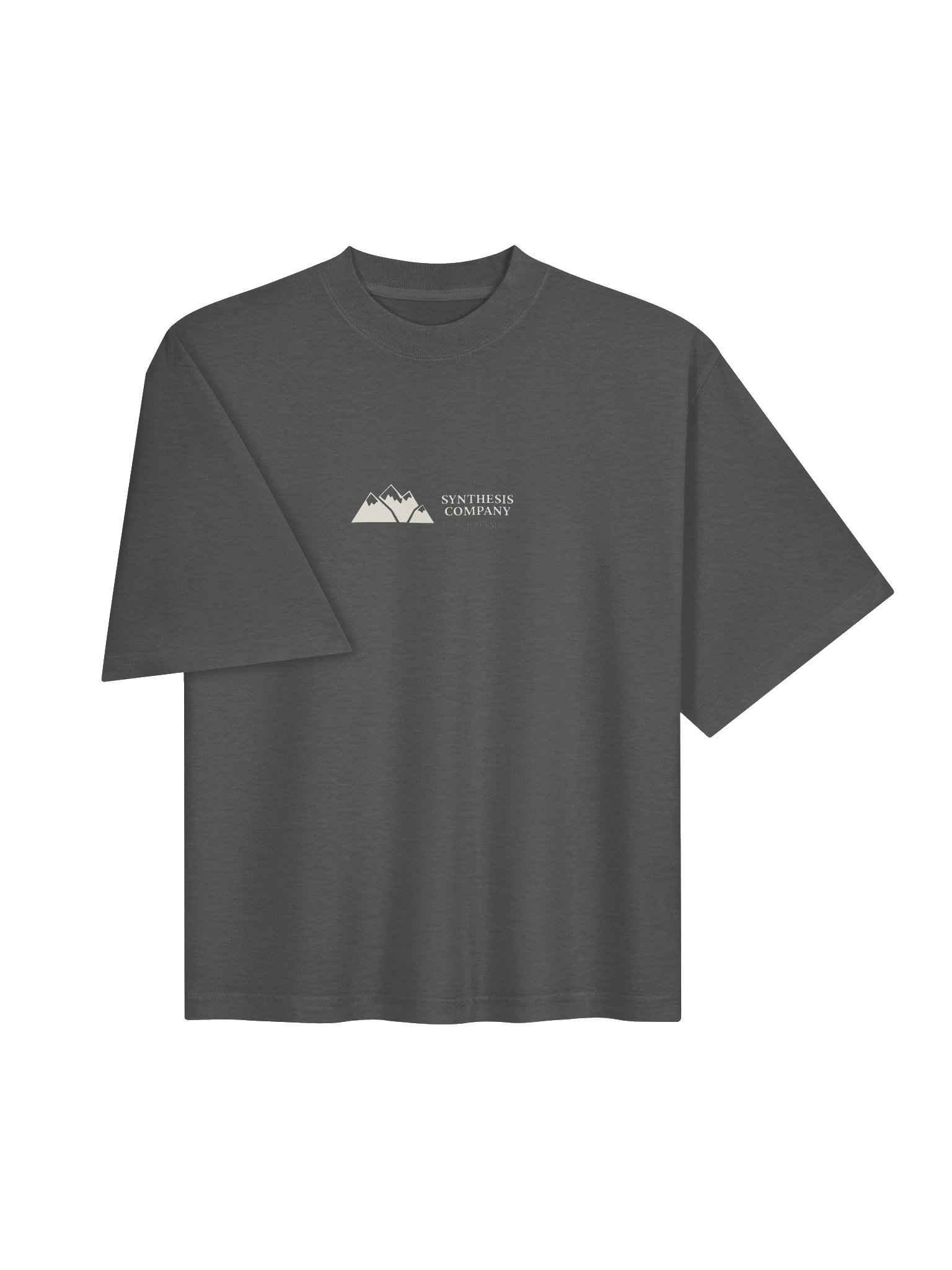 Synthesis — Mountain Lander Tee / Shadow product image (3)