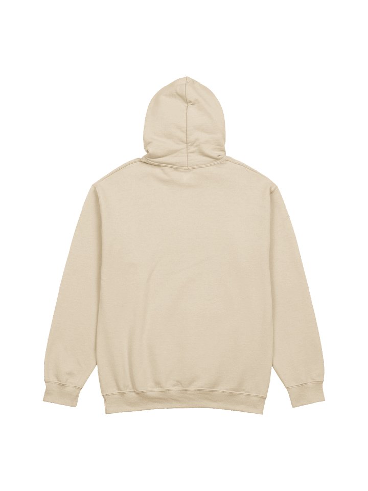 Embroidered Hoodie product image (11)