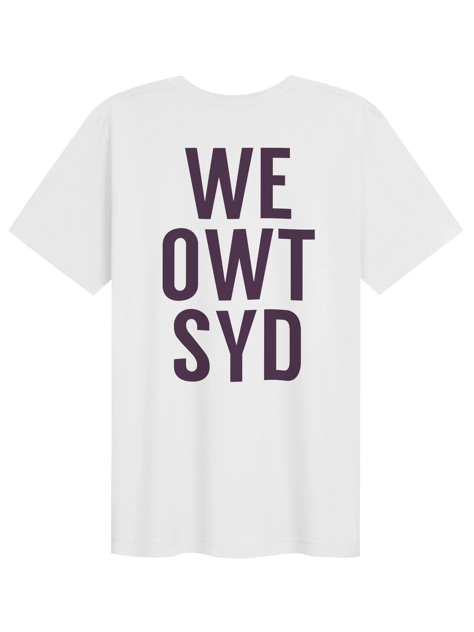 WeOwtsyd Gen 1 Intro Tee — Light product image (2)