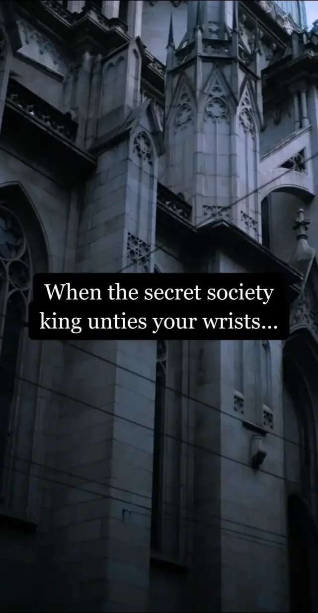 🖤 dark romance 🖤 widow auction 🖤 arranged marriage 🖤 secret society 🖤 morally gray MCs 🖤 OTT possessive hero 🖤 obsessive MMC 🖤 d0m/sub dynamics 🖤 touch her & d!e 🖤 unal!vers 🖤 possessive/obsessive MMC 🖤 forced proximity 🖤 partners in cr!me 🖤 secrets 🖤 