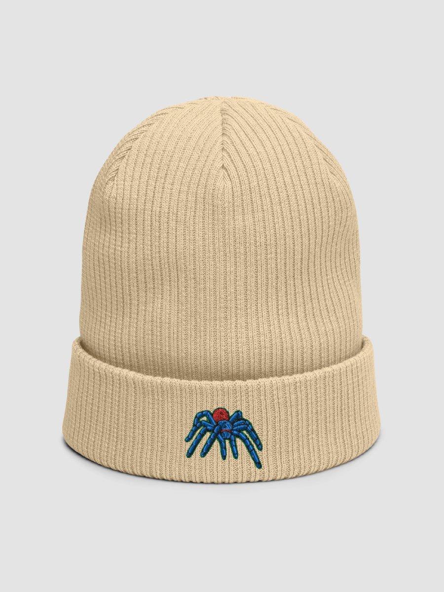 Green Bottle Blue Tarantula Organic Ribbed Beanie product image (1)