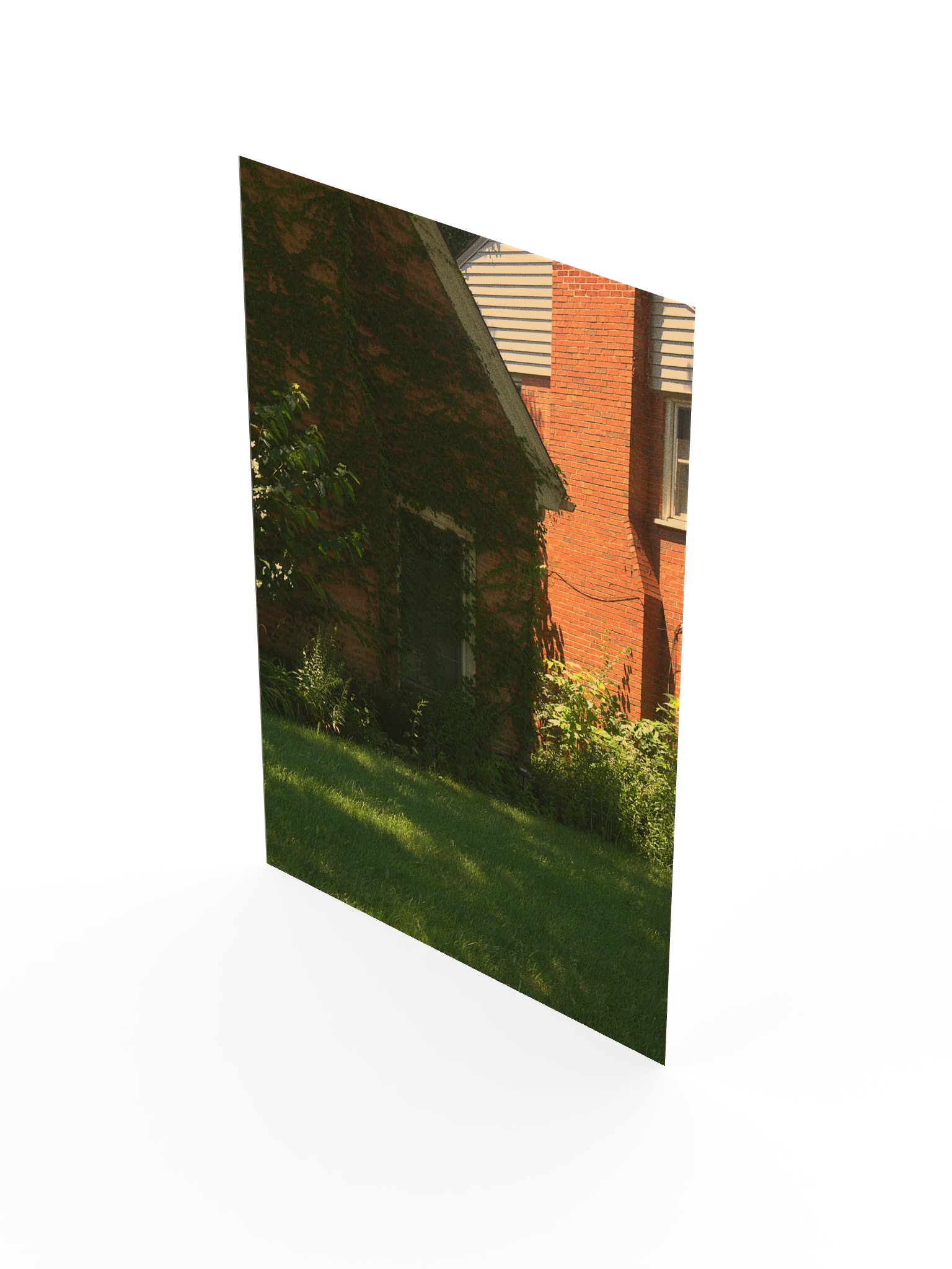overgrown product image (3)