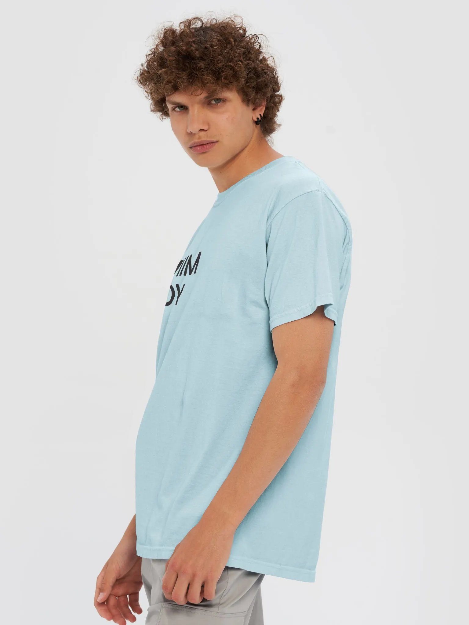 He-Him Lady Heavyweight T product image (6)
