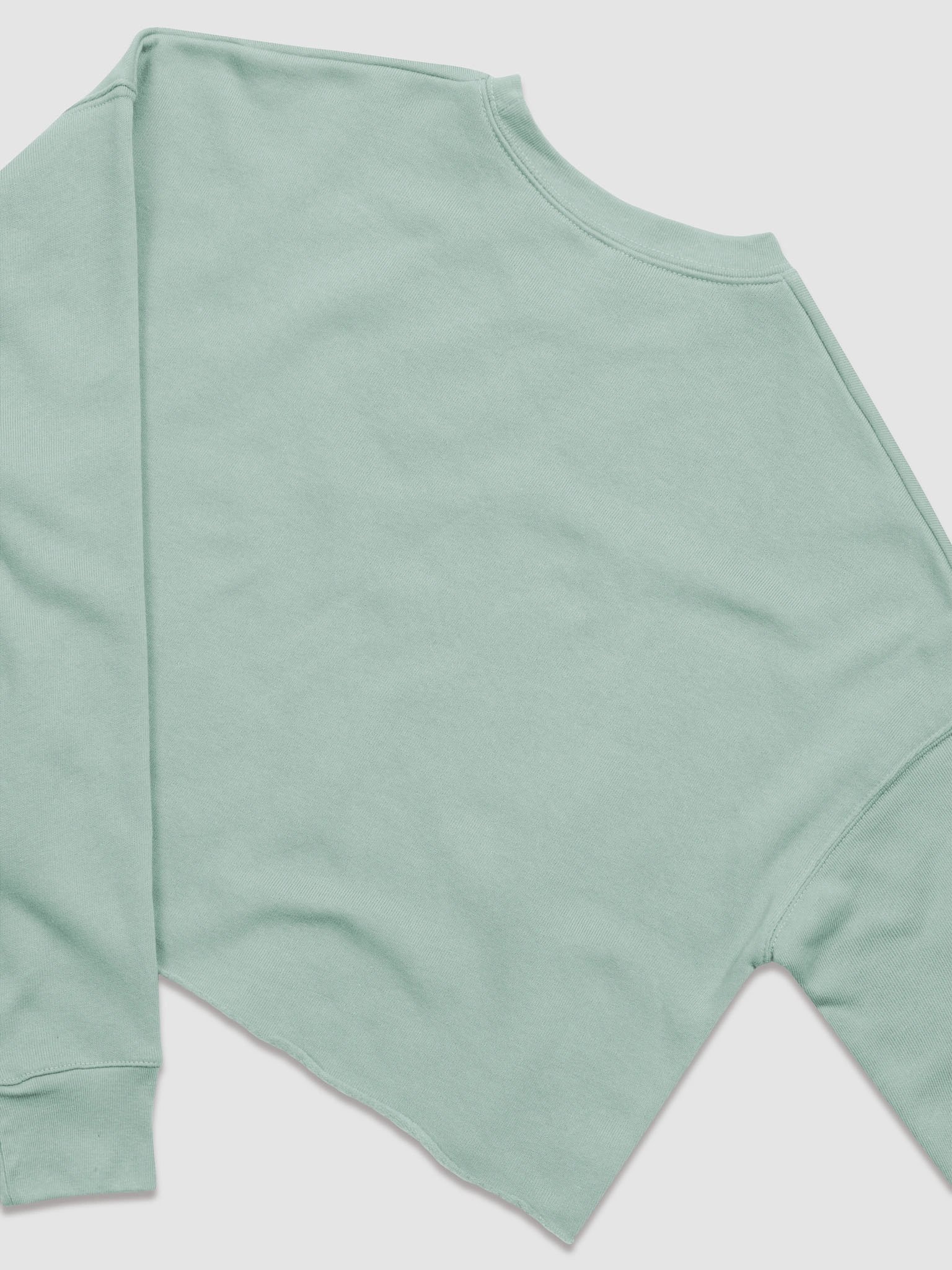 DST3K Crop Sweatshirt product image (8)