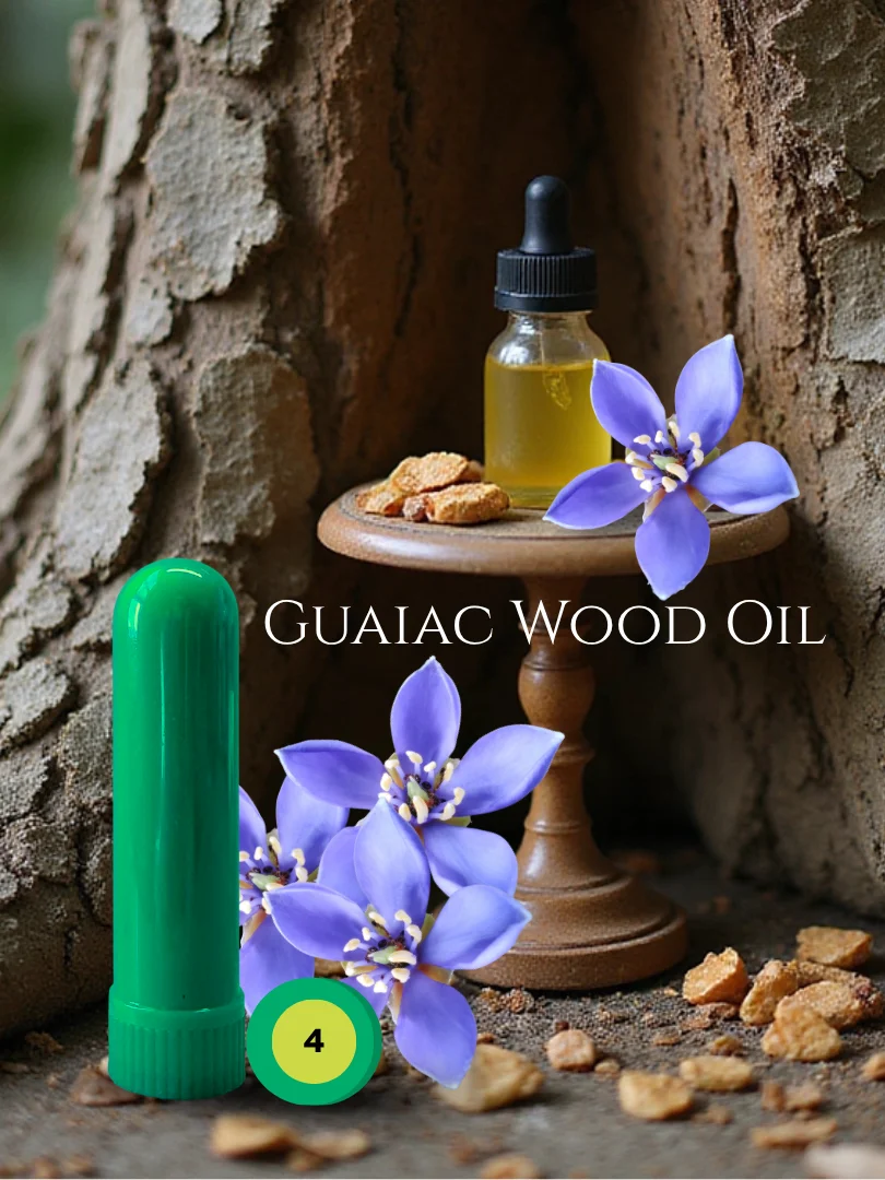 Olfaria Wood Odor Training Kit | 5 Single-Note Essential Oils | Scent Education | Train Your Nose product image (6)