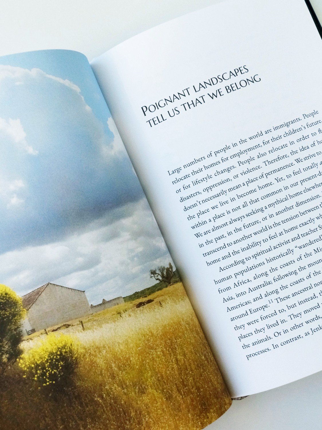 Poignant Landscapes (Hard Cover with Dust Jacket Edition) product image (2)