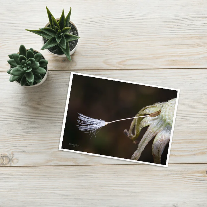One Last Wish Greeting Card product image (1)