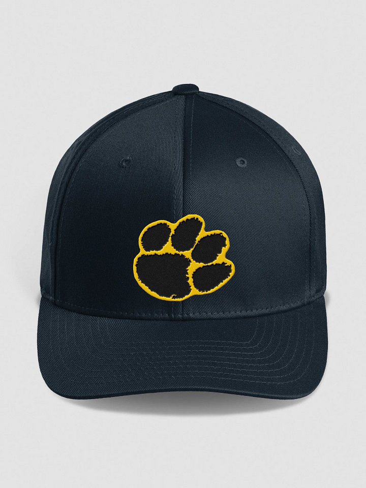 CHHS Tigers Structured product image (4)
