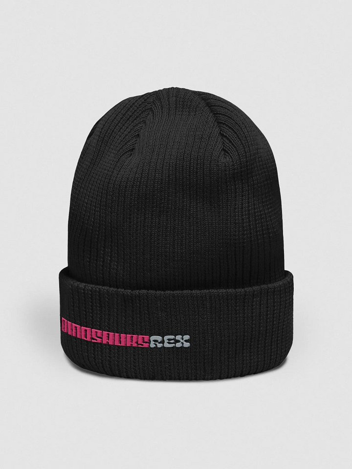 Beanie product image (2)