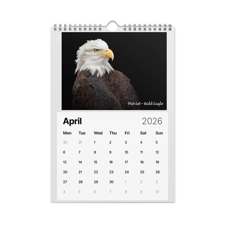 WBS 2026 Calendar product image (1)