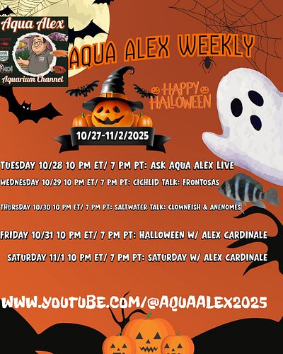 Press Release: Dive into a Spooktacular Halloween Week with Aqua Alex!
FOR IMMEDIATE RELEASE
October 27, 2025

Contact:
Aqua ...