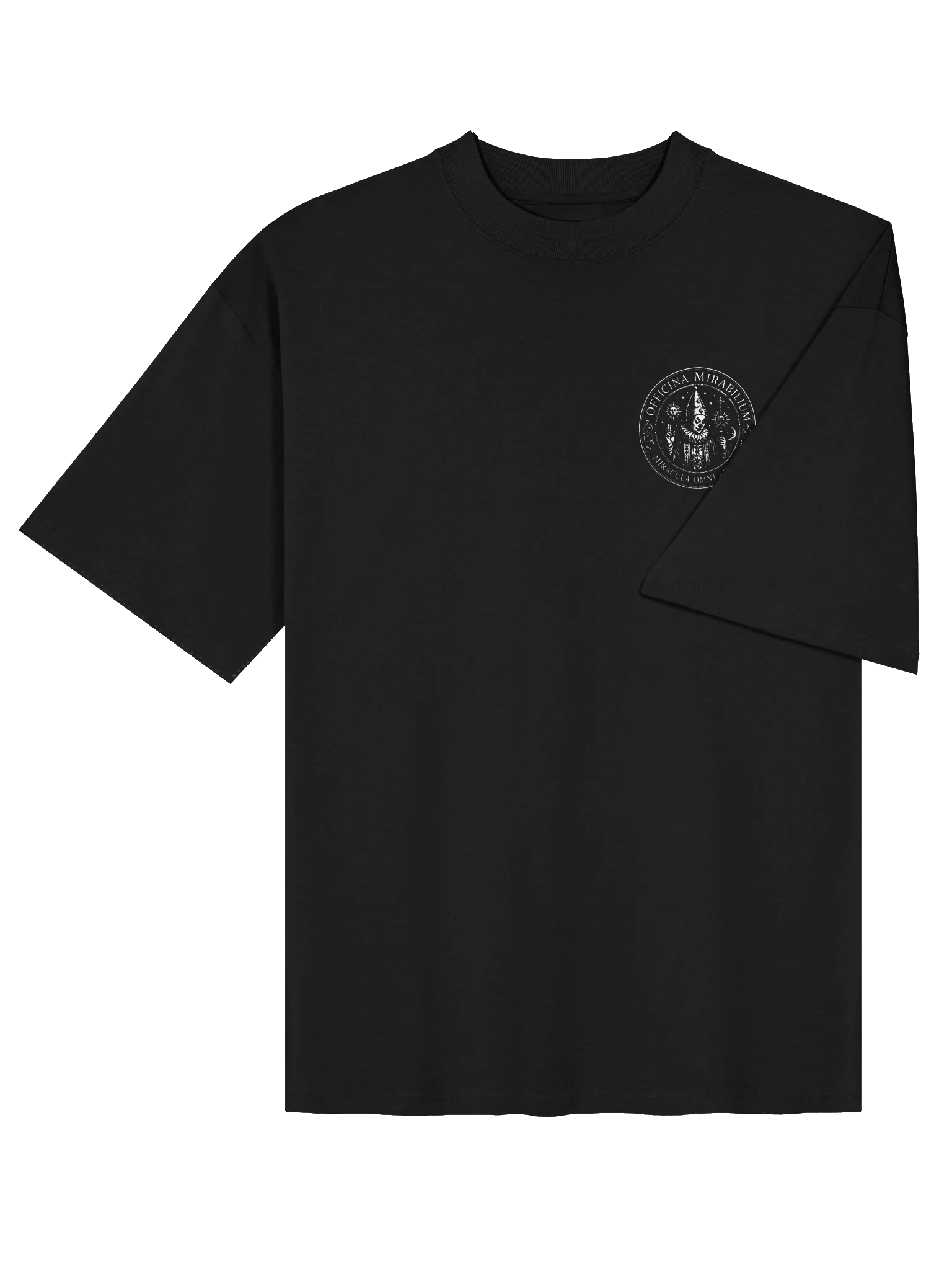 Logo Oversized Tee product image (4)