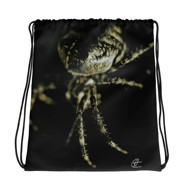 Orb Weaver Legs Drawstring Bag product image (1)