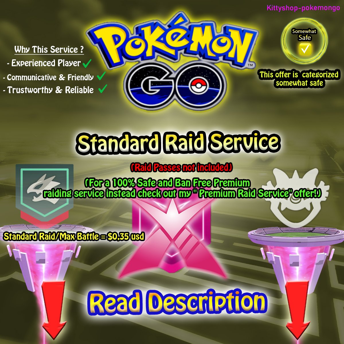 🟡Standard Raid Service product image (1)