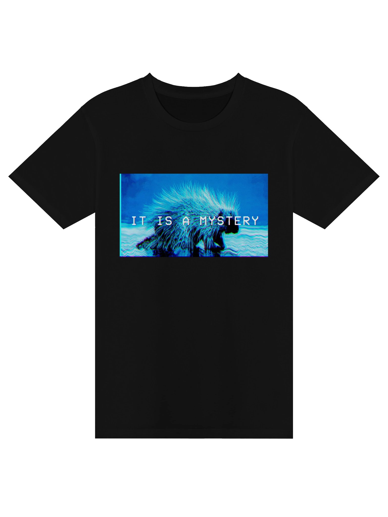 It Is A Mystery product image (1)