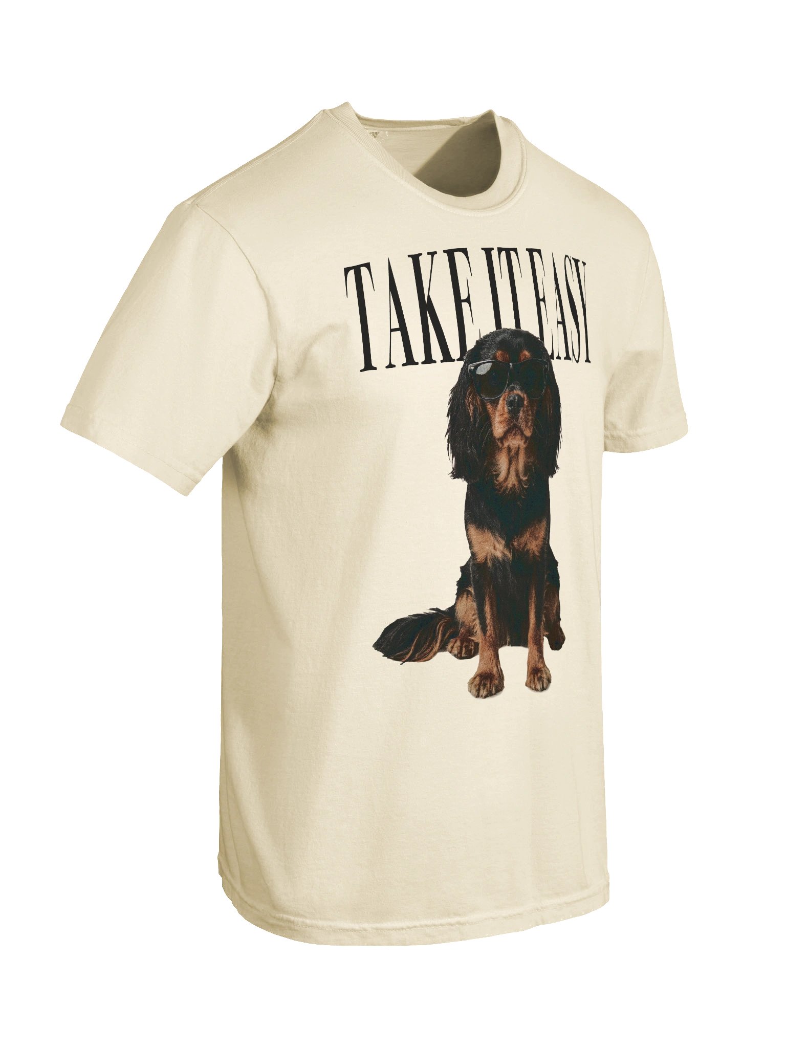 Take It Easy '90s Pop Vintage-Style T-Shirt for Cavalier King Charles Spaniel(Black & Tan) Lovers product image (11)