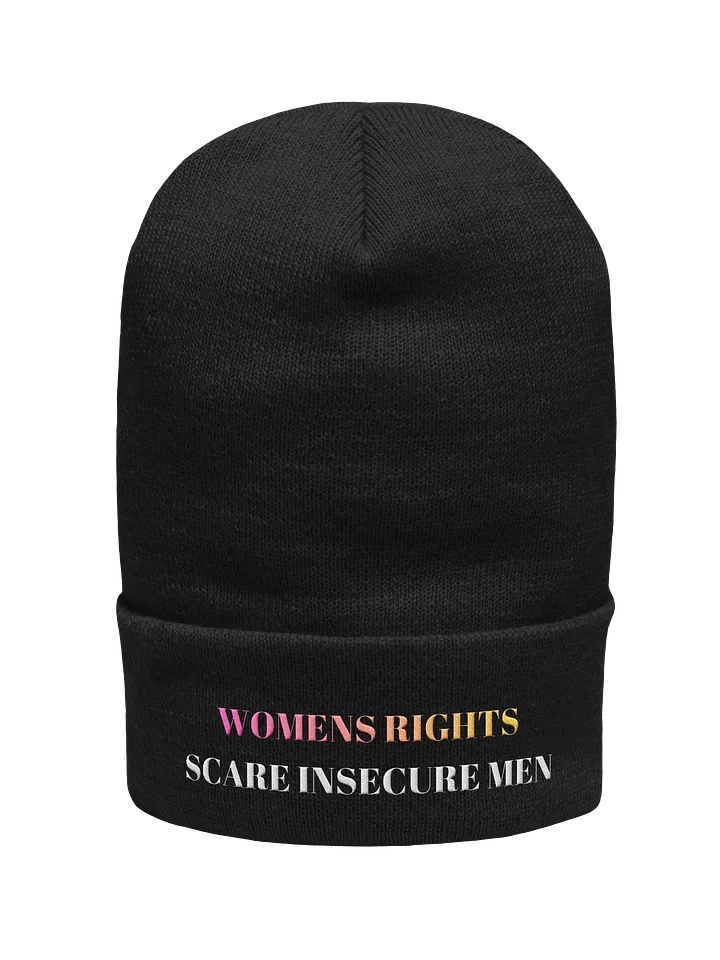 WOMENS RIGHTS SCARE INSECURE MEN BEANIE product image (1)
