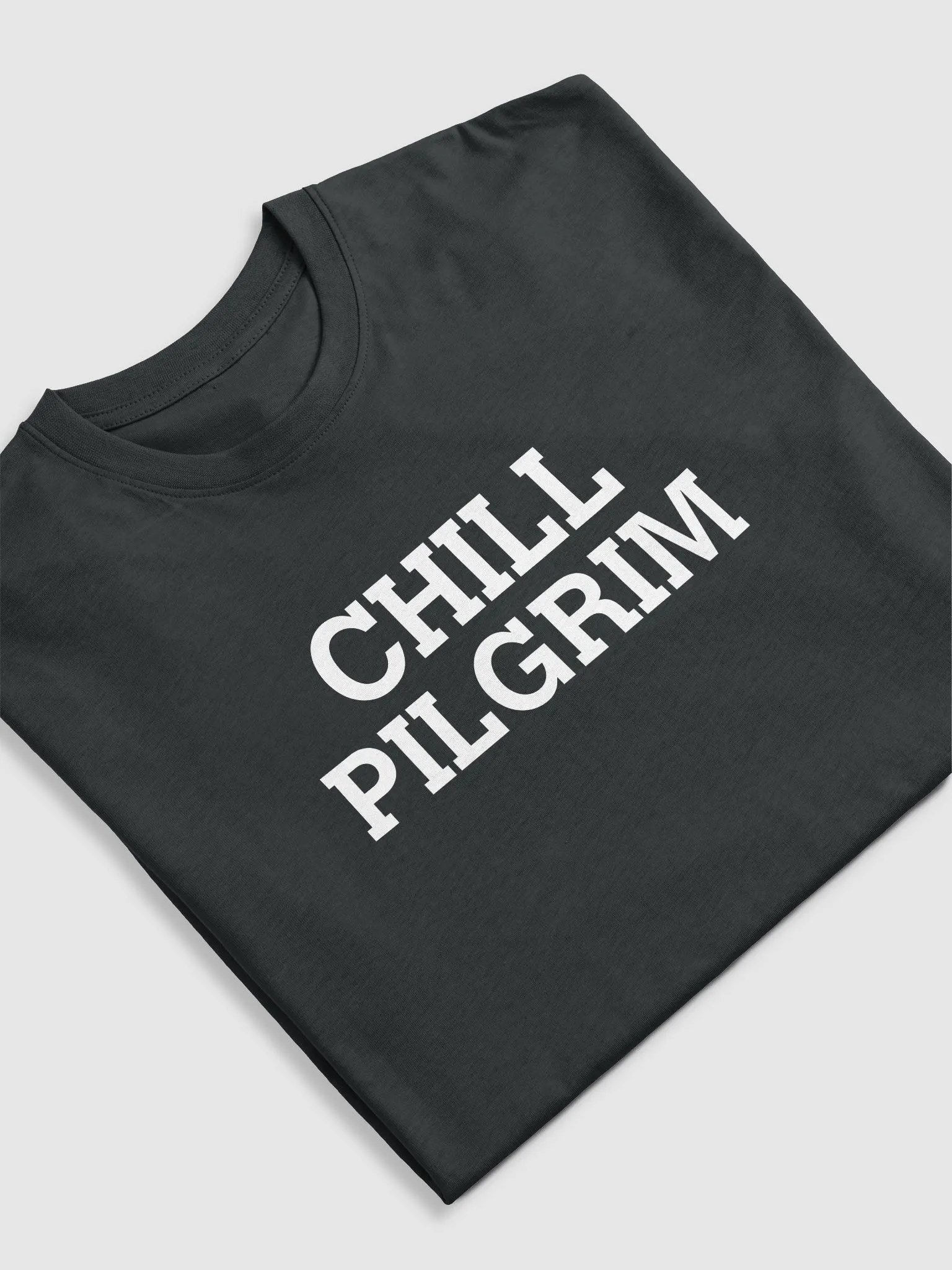Chill Pilgrim Wordmark Tee product image (5)