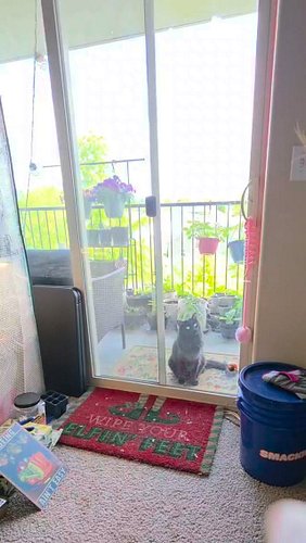 When you have to show your friend your garden