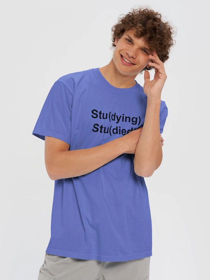 Stu(dying) Stu(died) Garment-Dyed Heavyweight T-Shirt product image (2)