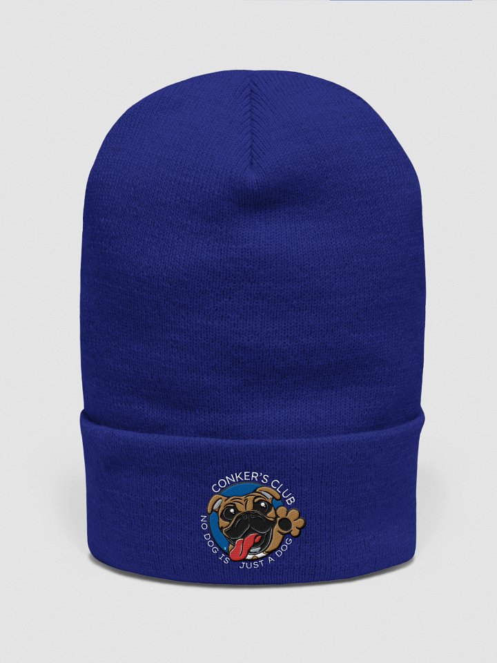 Logo Beanie product image (3)