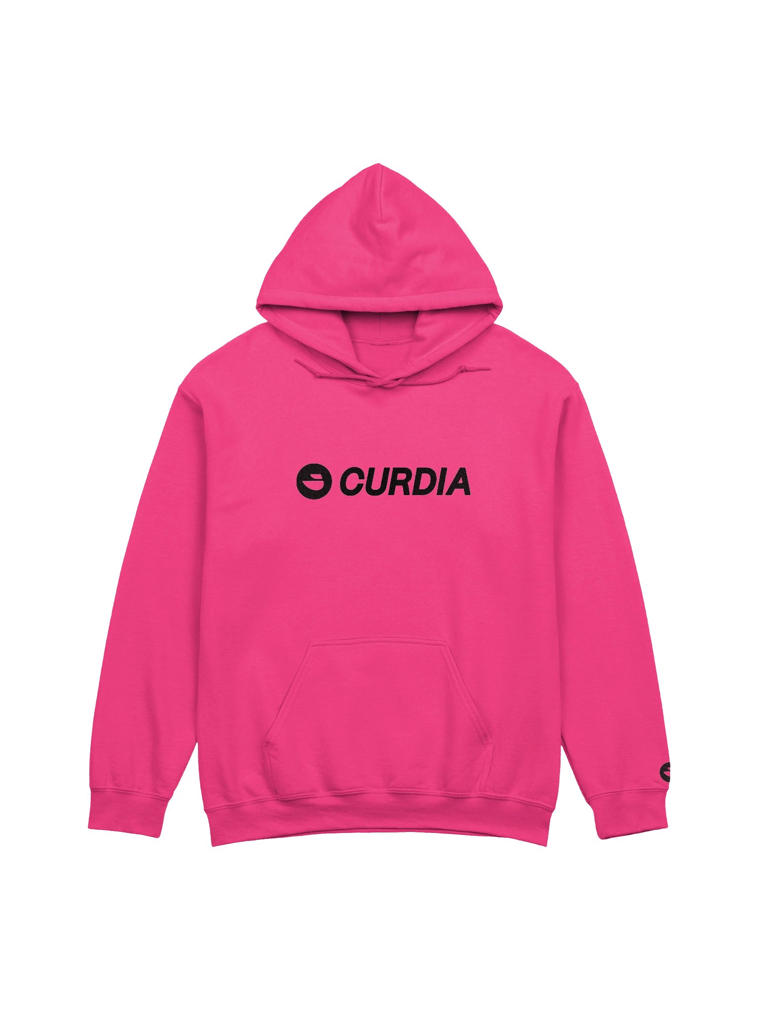 Curdia Black Brand Embroidered Hoodie product image (1)