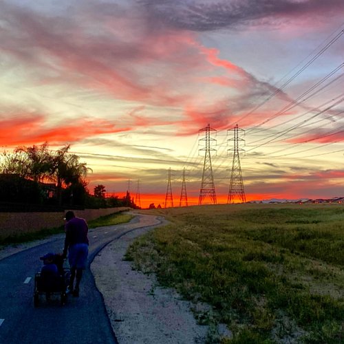 Walking with the grandkids into a gorgeous sunset 💙
#itsthelittlethings