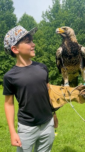 Hangin in Nashville. #familyvacay nashville_tn #birdsofprey #wingbladefalconry