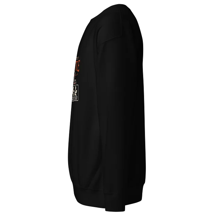 Test Your Mettle Sweatshirt product image (2)