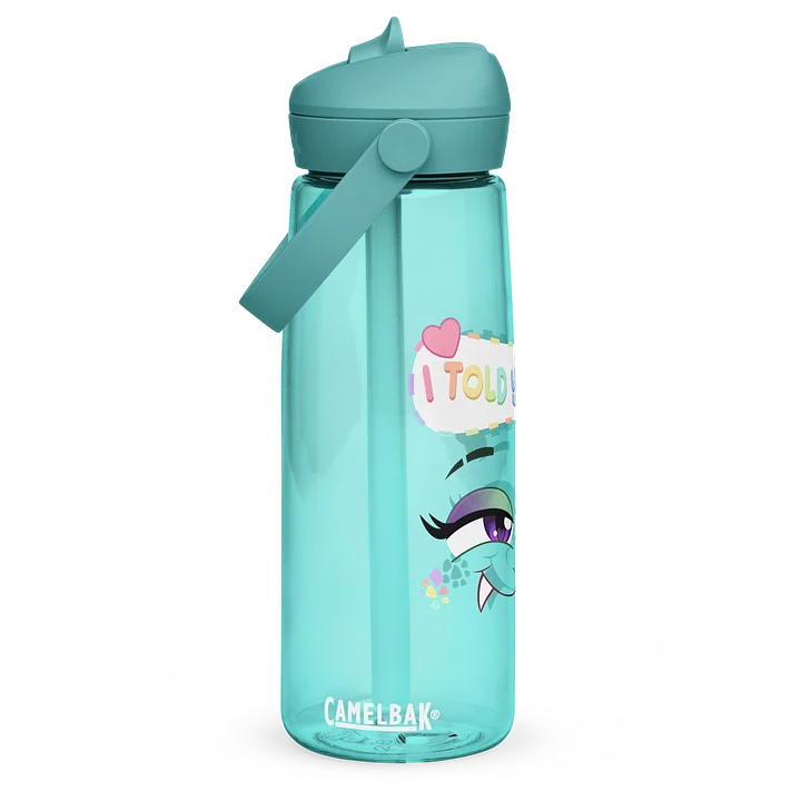 "I Told You So" Water Bottle product image (1)