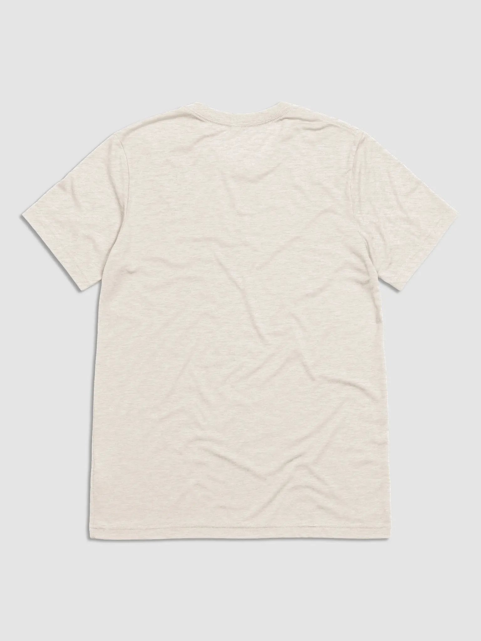 SHUNNED & LEFT BEHIND product image (6)