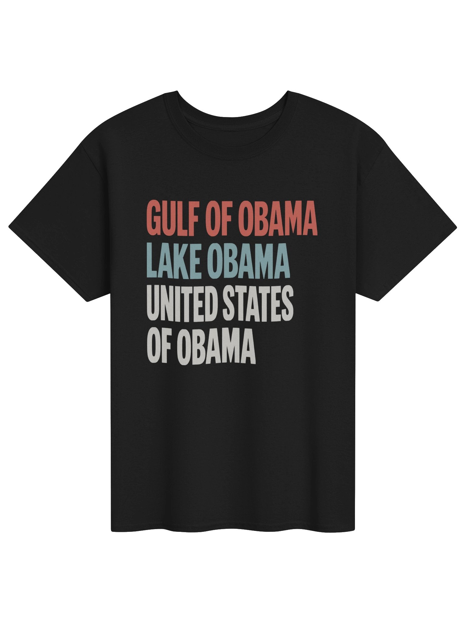 Gulf of Obama, Lake Obama & United States of Obama T-Shirt product image (1)
