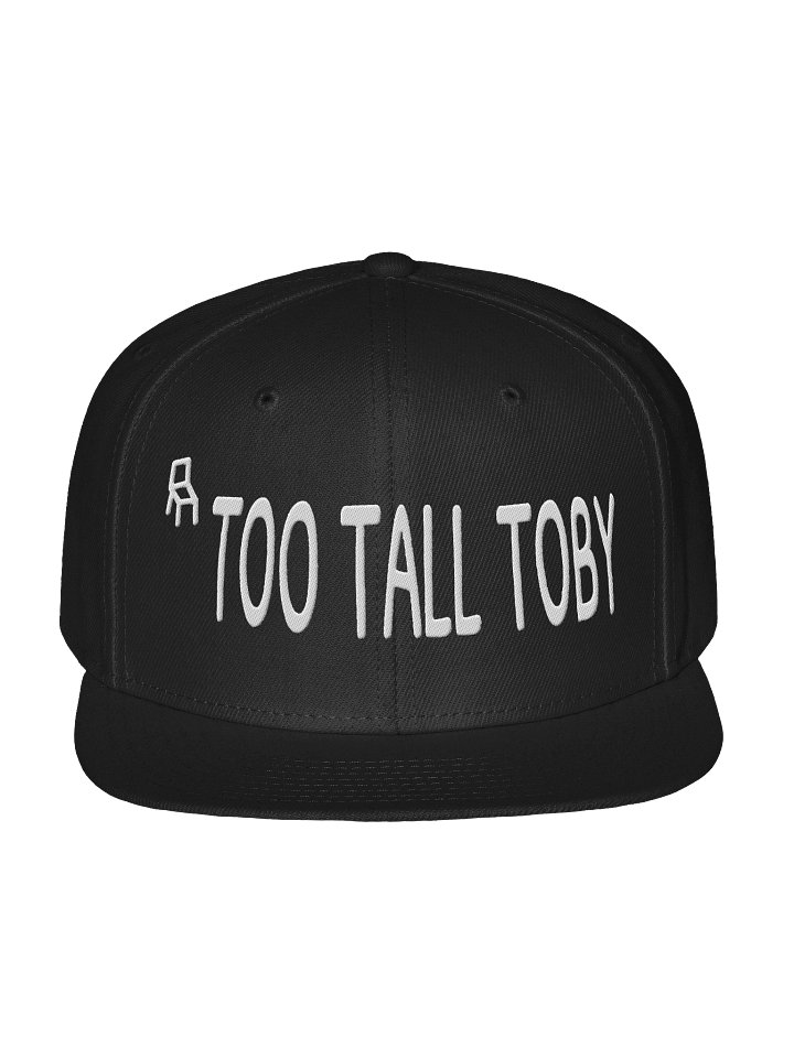 TooTallToby - SOLID HAT - Special Item product image (1)