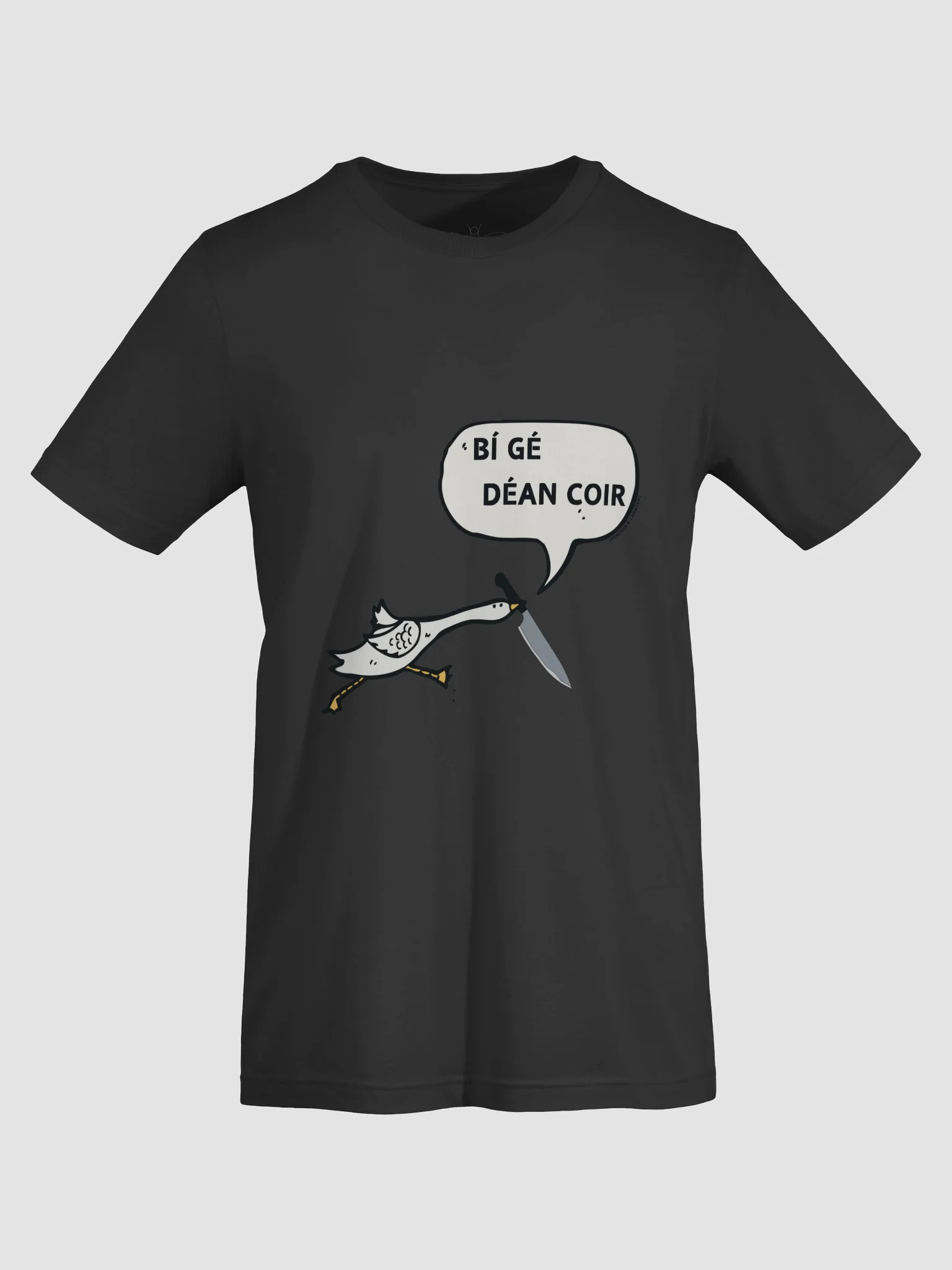 Bí Gé Déan Coir T-shirt product image (27)