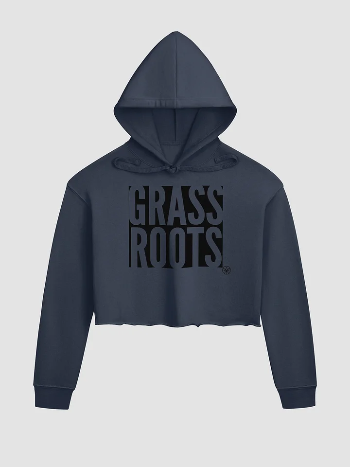 Est. 2004 Black Label Cropped Hoodie product image (1)