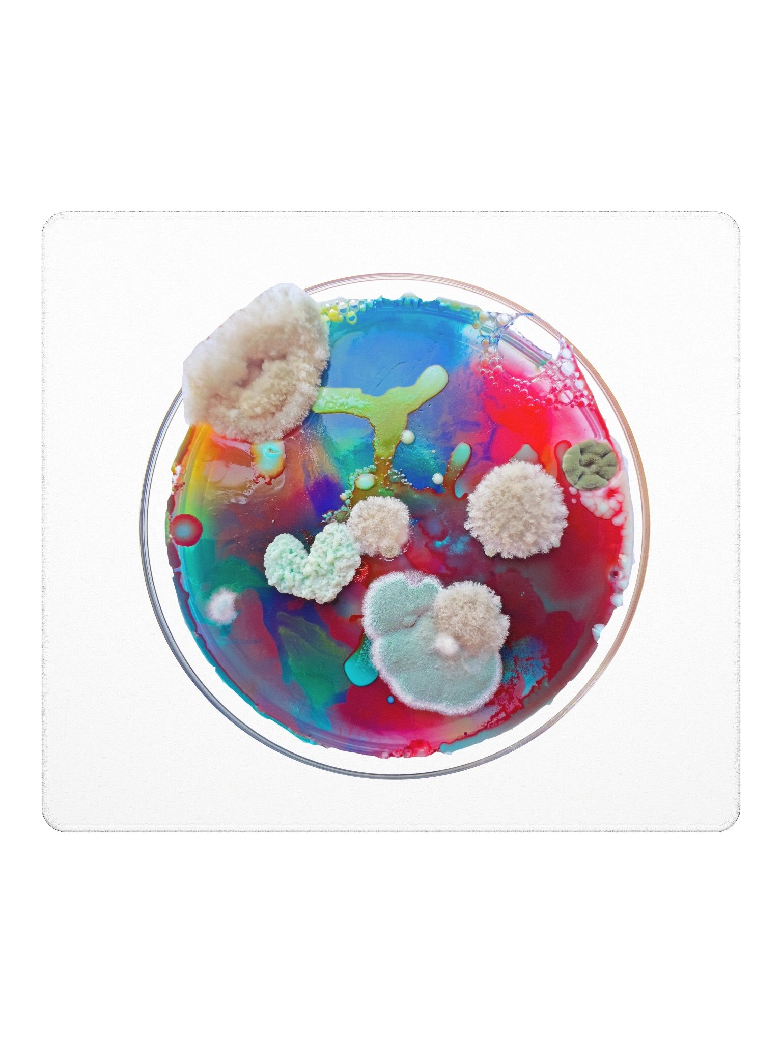 Gaming dish product image (2)