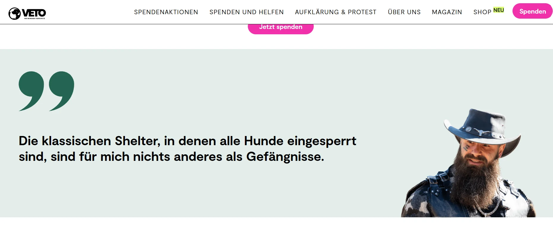 Zeitdokument 2026 – Straßenhunde & Tierschutz (PDF · Deutsch) product image (3)