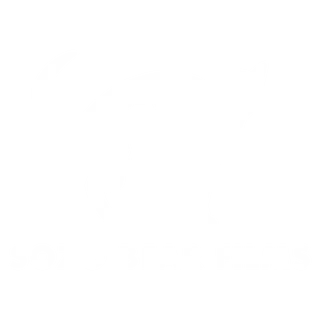 Sozo Bear Films