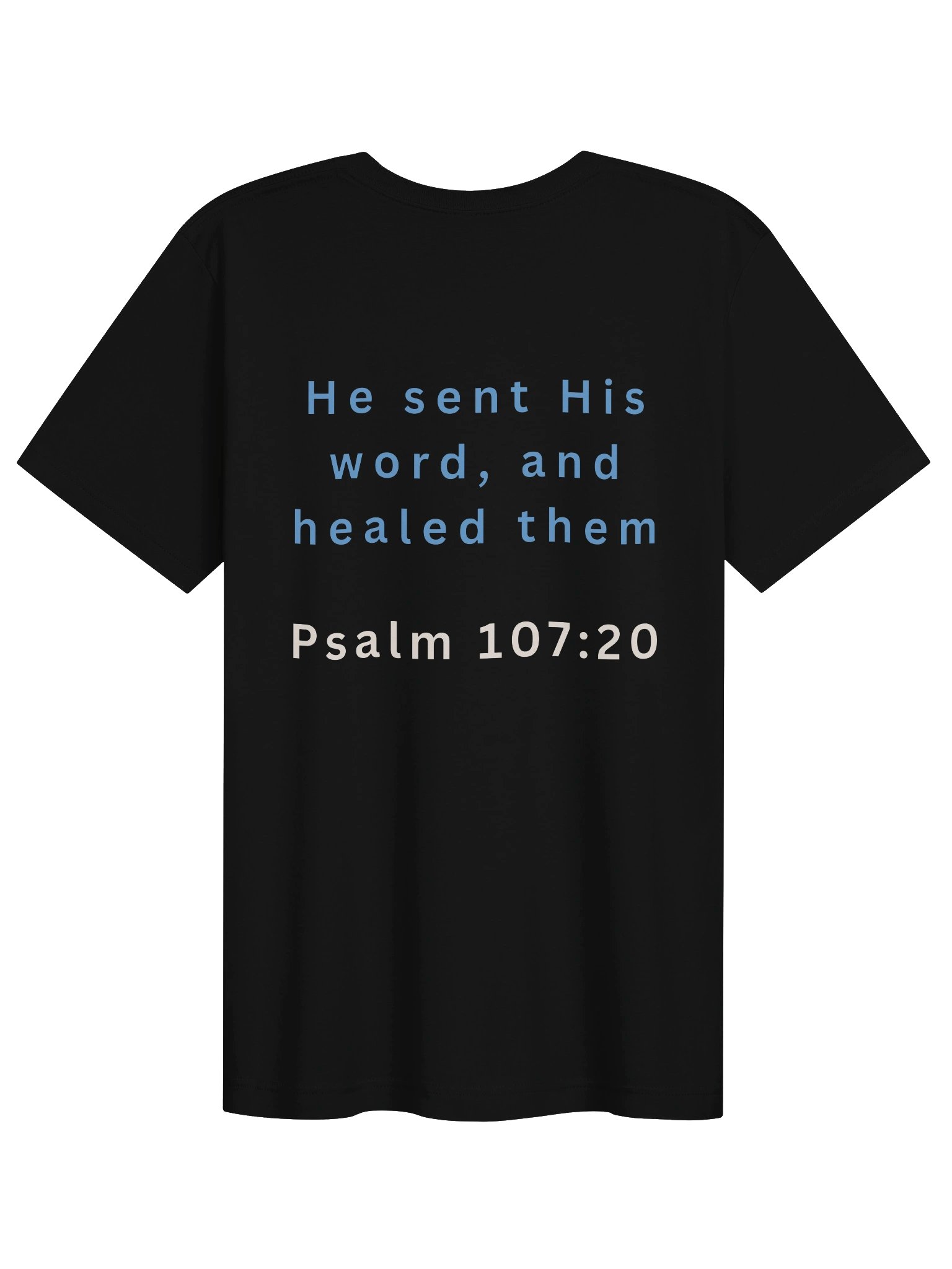 LionHeart FM Radio Tee product image (13)